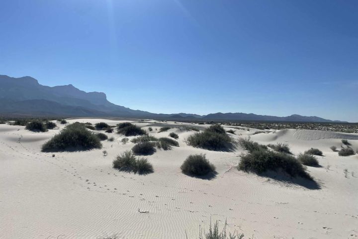 Desert landscape with sand dunes, sparse shrubs, and distant mountains under a clear blue sky.