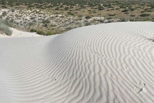 Rippled sand dune overlooking a scrub-covered desert landscape.